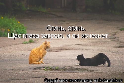 Сгинь, сгинь. Щас глаза закрою, и он исчезнет..... Котоматрица: Сгинь, сгинь. Щас глаза закрою, и он исчезнет..