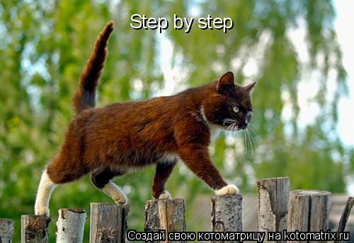 Step by step... Котоматрица: Step by step