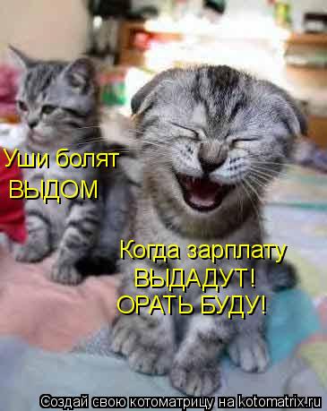 Когда зарплату ВЫДАДУТ! ОРАТЬ БУДУ! Уши болят ВЫДОМ... Котоматрица: Когда зарплату ВЫДАДУТ! ОРАТЬ БУДУ! Уши болят ВЫДОМ
