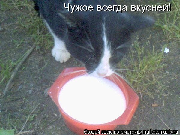 Чужое всегда вкусней!... Котоматрица: Чужое всегда вкусней!