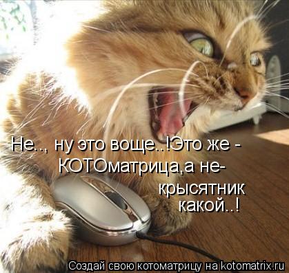 Не.., ну это воще..!Это же - КОТОматрица,а не- крысятник какой..!... Котоматрица: Не.., ну это воще..!Это же - КОТОматрица,а не- крысятник какой..!