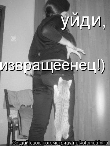 извращеенец!) уйди,... Котоматрица: извращеенец!) уйди,