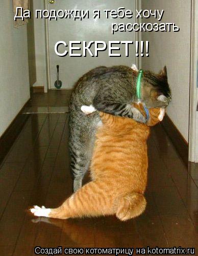 Да подожди я тебе хочу расскозать СЕКРЕТ!!!... Котоматрица: Да подожди я тебе хочу расскозать СЕКРЕТ!!!