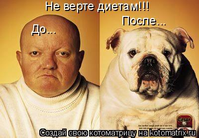Не верте диетам!!! До... После...... Котоматрица: Не верте диетам!!! До... После...