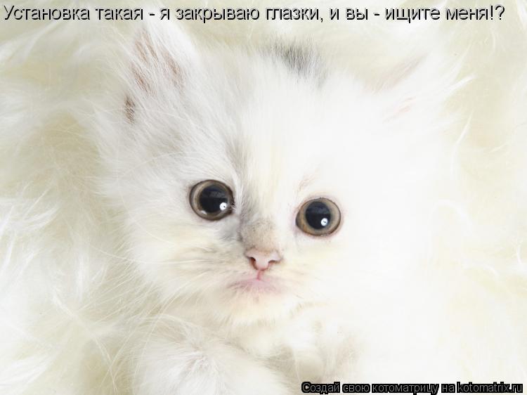 Установка такая - я закрываю глазки, и вы - ищите меня!?... Котоматрица: Установка такая - я закрываю глазки, и вы - ищите меня!?