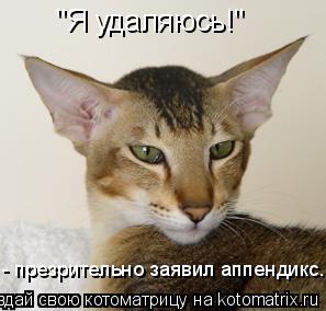 "Я удаляюсь!" - презрительно заявил аппендикс.... Котоматрица: "Я удаляюсь!" - презрительно заявил аппендикс.