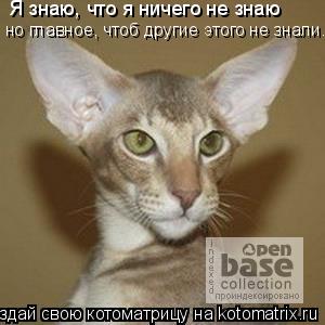 Я знаю, что я ничего не знаю но главное, чтоб дpyгие этого не знали.... Котоматрица: Я знаю, что я ничего не знаю но главное, чтоб дpyгие этого не знали.
