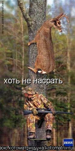 хоть не насрать... Котоматрица: хоть не насрать