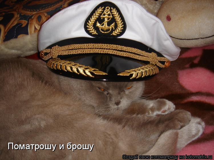 Поматрошу и брошу... Котоматрица: Поматрошу и брошу