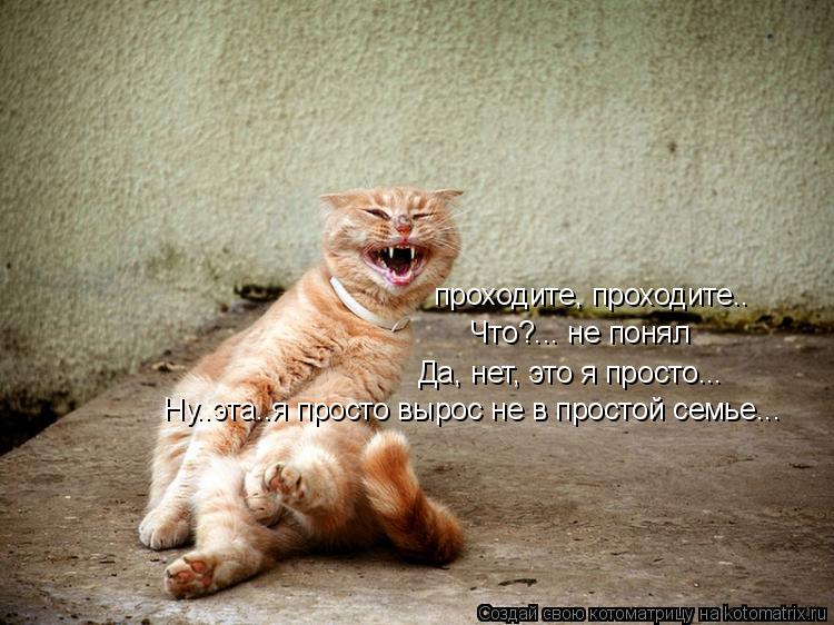 проходите, проходите.. Что?... не понял Да, нет, это я просто... Ну..эта..я просто вырос не в простой... Котоматрица: проходите, проходите.. Что?... не понял Да, нет, это я просто... Ну..эта..я просто вырос не в простой семье...