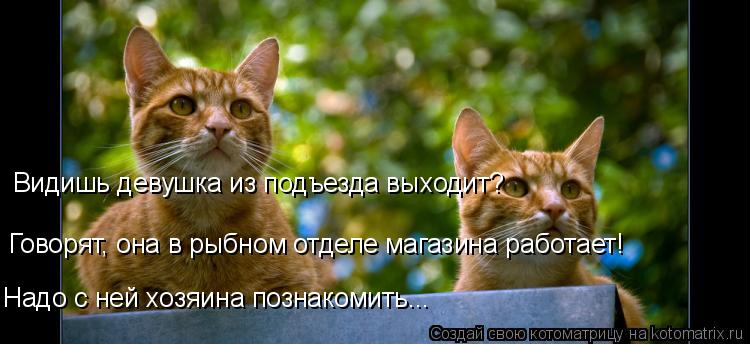 Видишь девушка из подъезда выходит? Говорят, она в рыбном отделе магазина работает! Надо с ней хозяин... Котоматрица: Видишь девушка из подъезда выходит? Говорят, она в рыбном отделе магазина работает! Надо с ней хозяина познакомить...