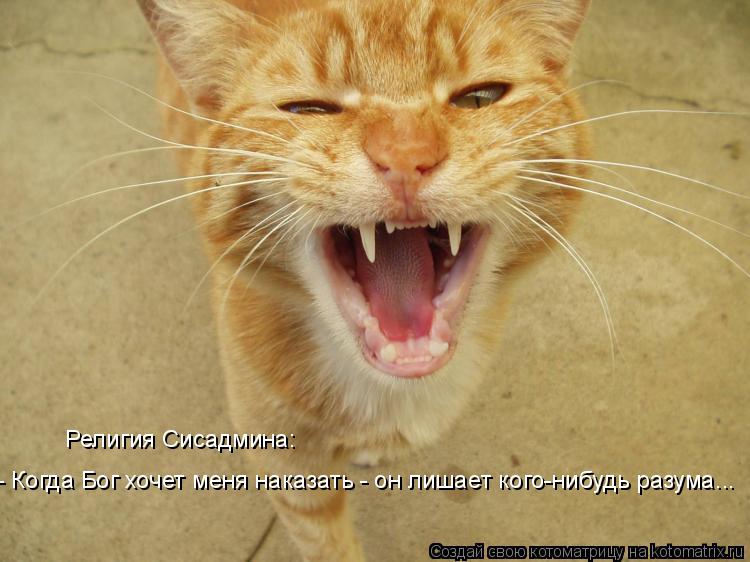- Когда Бог хочет меня наказать - он лишает кого-нибудь разума... Религия Сисадмина:... Котоматрица: - Когда Бог хочет меня наказать - он лишает кого-нибудь разума... Религия Сисадмина: