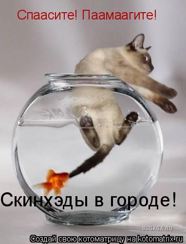 Спаасите! Паамаагите! Скинхэды в городе!... Котоматрица: Спаасите! Паамаагите! Скинхэды в городе!