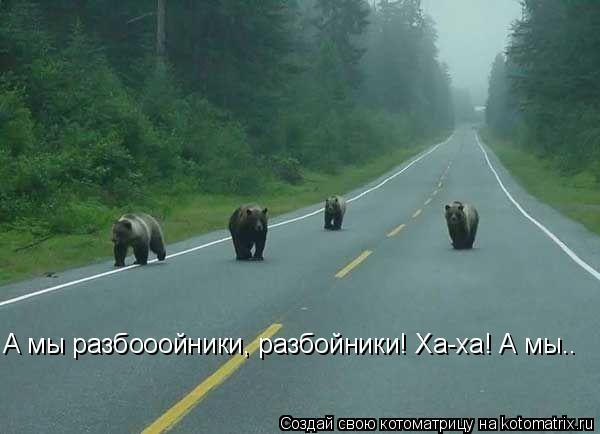 А мы разбооойники, разбойники! Ха-ха! А мы..... Котоматрица: А мы разбооойники, разбойники! Ха-ха! А мы..