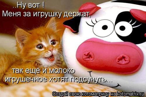 ..Ну вот ! Меня за игрушку держат, так ещё и молоко игрушечное хотят подсунуть...... Котоматрица: ..Ну вот ! Меня за игрушку держат, так ещё и молоко игрушечное хотят подсунуть...