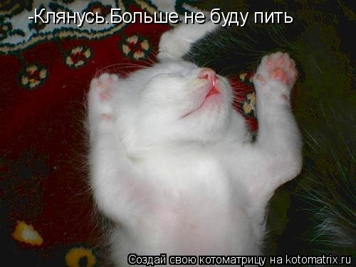 -Клянусь.Больше не буду пить... Котоматрица: -Клянусь.Больше не буду пить