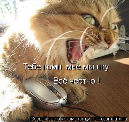 Тебе комп, мне мышку Всё честно !... Котоматрица: Тебе комп, мне мышку Всё честно !
