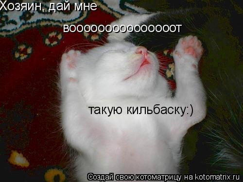 Хозяин, дай мне вооооооооооооооот такую кильбаску:)... Котоматрица: Хозяин, дай мне вооооооооооооооот такую кильбаску:)