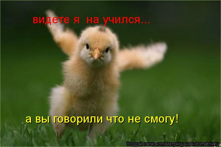 видете я на учился... а вы говорили что не смогу!... Котоматрица: видете я на учился... а вы говорили что не смогу!
