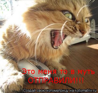 Это меня то в муть ОТПРАВИЛИ!!!... Котоматрица: Это меня то в муть ОТПРАВИЛИ!!!