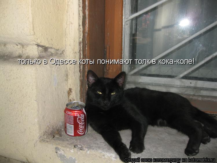 только в Одессе коты понимают толк в кока-коле!... Котоматрица: только в Одессе коты понимают толк в кока-коле!