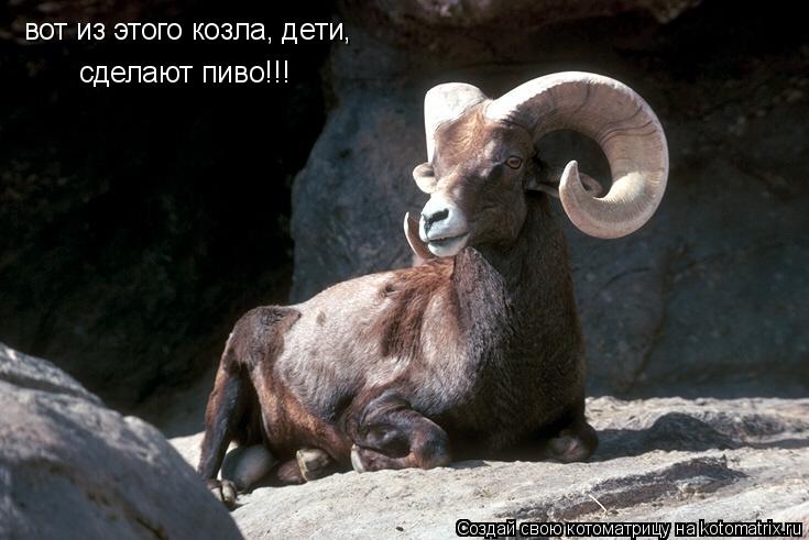 вот из этого козла, дети, сделают пиво!!!... Котоматрица: вот из этого козла, дети, сделают пиво!!!