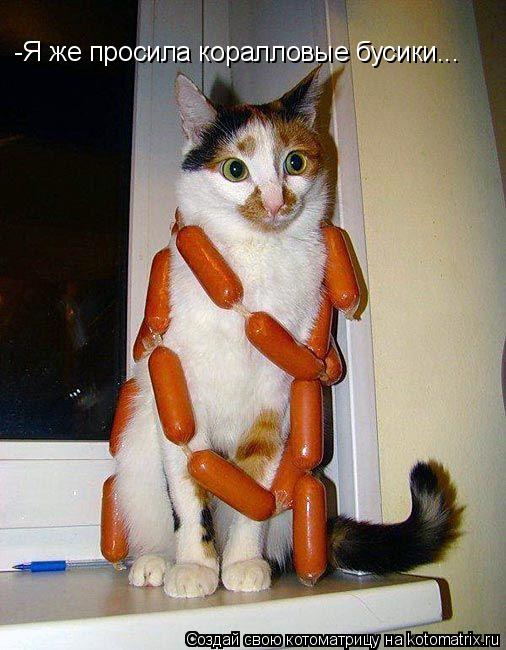 -Я же просила коралловые бусики...... Котоматрица: -Я же просила коралловые бусики...