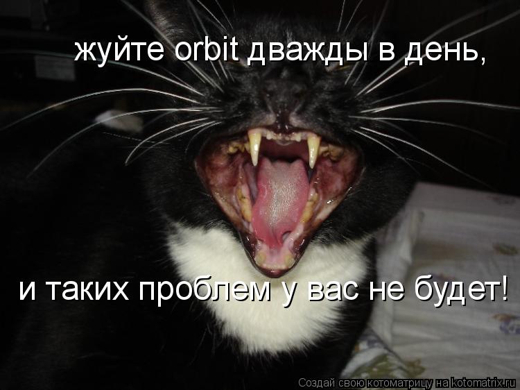 жуйте orbit дважды в день, и таких проблем у вас не будет!... Котоматрица: жуйте orbit дважды в день, и таких проблем у вас не будет!