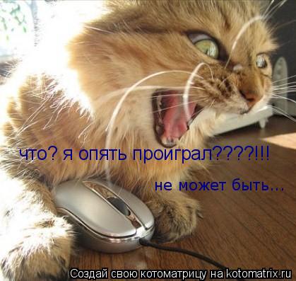 что? я опять проиграл????!!! не может быть...... Котоматрица: что? я опять проиграл????!!! не может быть...