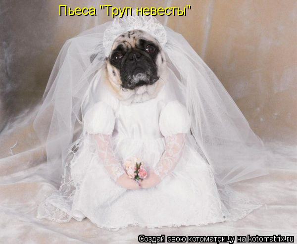 Пьеса "Труп невесты"... Котоматрица: Пьеса "Труп невесты"