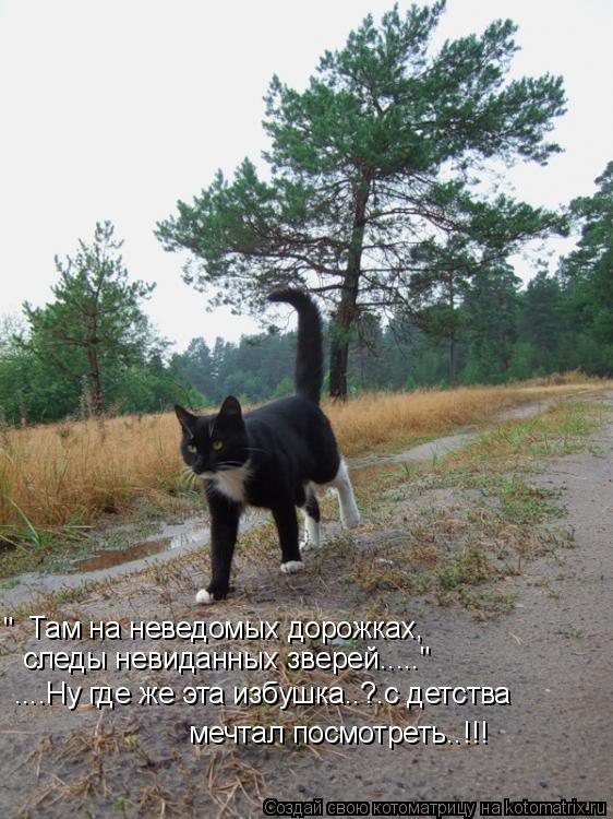 Там на неведомых дорожках, следы невиданных зверей....." " ....Ну где же эта избушка..?.с детства меч... Котоматрица: Там на неведомых дорожках, следы невиданных зверей....." " ....Ну где же эта избушка..?.с детства мечтал посмотреть..!!!