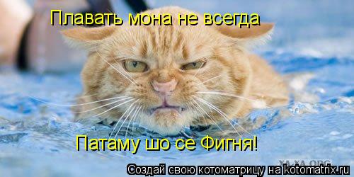 Плавать мона не всегда Патаму шо се Фигня!... Котоматрица: Плавать мона не всегда Патаму шо се Фигня!