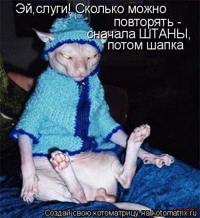 Эй,слуги! Сколько можно повторять - сначала ШТАНЫ, потом шапка... Котоматрица: Эй,слуги! Сколько можно повторять - сначала ШТАНЫ, потом шапка