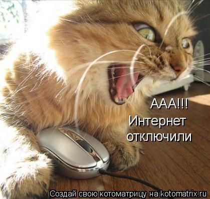 ААА!!! Интернет отключили отключили... Котоматрица: ААА!!! Интернет отключили отключили