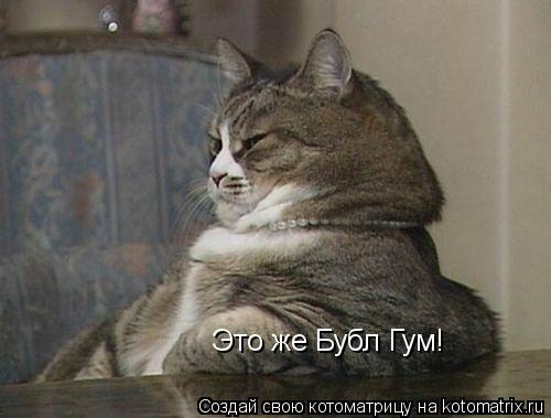 Это же Бубл Гум!... Котоматрица: Это же Бубл Гум!