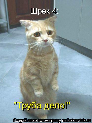 Шрек 4: "Труба дело!"... Котоматрица: Шрек 4: "Труба дело!"