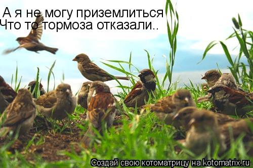 А я не могу приземлиться Что то тормоза отказали..... Котоматрица: А я не могу приземлиться Что то тормоза отказали..