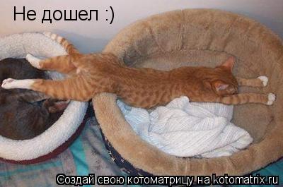 Не дошел :)... Котоматрица: Не дошел :)