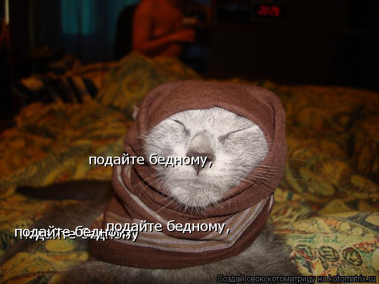 подайте бедному подайте бедному, подайте бедному, подайте бедному,... Котоматрица: подайте бедному подайте бедному, подайте бедному, подайте бедному,