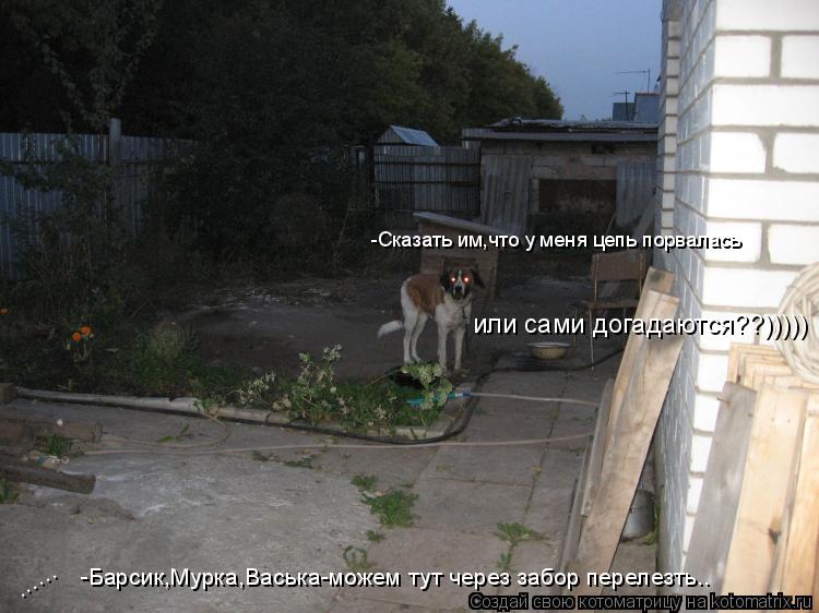 -Барсик,Мурка,Васька-можем тут через забор перелезть.. -Сказать им,что у меня цепь порвалась ...... и... Котоматрица: -Барсик,Мурка,Васька-можем тут через забор перелезть.. -Сказать им,что у меня цепь порвалась ...... или сами догадаются??)))))