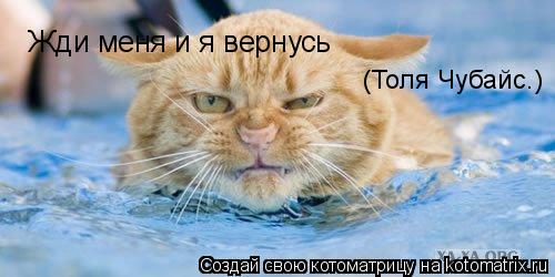 Жди меня и я вернусь (Толя Чубайс.)... Котоматрица: Жди меня и я вернусь (Толя Чубайс.)