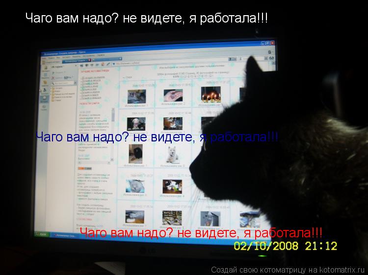 Чаго вам надо? не видете, я работала!!! Чаго вам надо? не видете, я работала!!! Чаго вам надо? не вид... Котоматрица: Чаго вам надо? не видете, я работала!!! Чаго вам надо? не видете, я работала!!! Чаго вам надо? не видете, я работала!!!