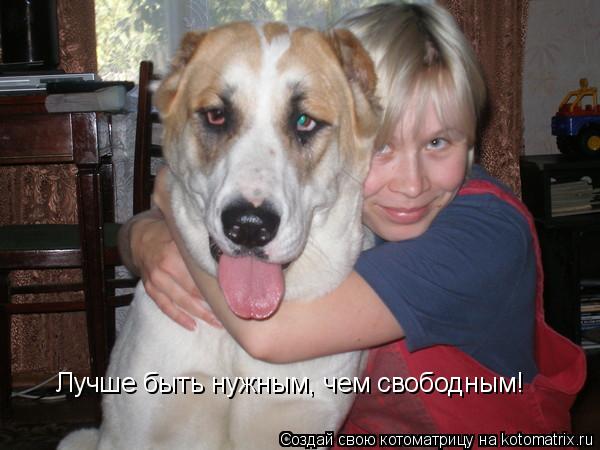 Лучше быть нужным, чем свободным!... Котоматрица: Лучше быть нужным, чем свободным!