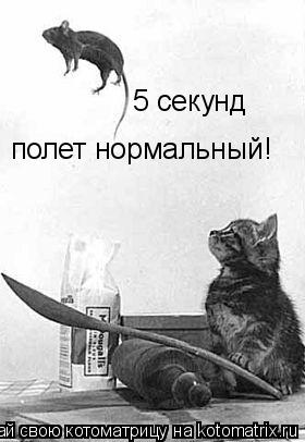 5 секунд полет нормальный!... Котоматрица: 5 секунд полет нормальный!