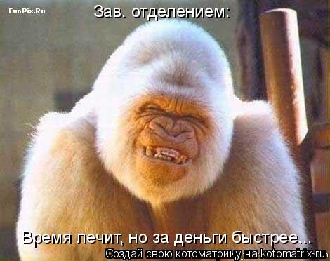 Зав. отделением: Время лечит, но за деньги быстрее...... Котоматрица: Зав. отделением: Время лечит, но за деньги быстрее...