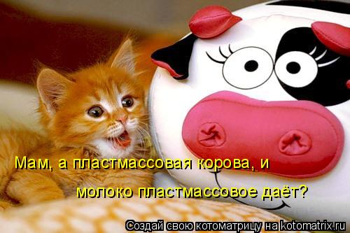 Мам, а пластмассовая корова, и молоко пластмассовое даёт?... Котоматрица: Мам, а пластмассовая корова, и молоко пластмассовое даёт?