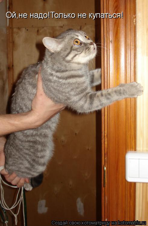 Ой,не надо!Только не купаться!... Котоматрица: Ой,не надо!Только не купаться!