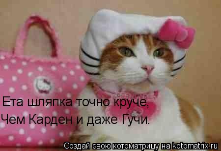 Ета шляпка точно круче, Чем Карден и даже Гучи.... Котоматрица: Ета шляпка точно круче, Чем Карден и даже Гучи.