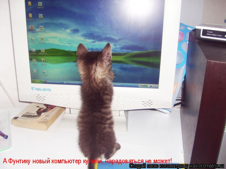 А Фунтику новый компьютер купили, нарадоваться не может!... Котоматрица: А Фунтику новый компьютер купили, нарадоваться не может!