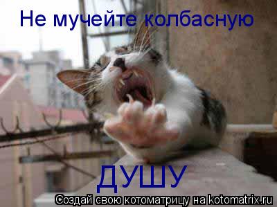 Не мучейте колбасную ДУШУ... Котоматрица: Не мучейте колбасную ДУШУ